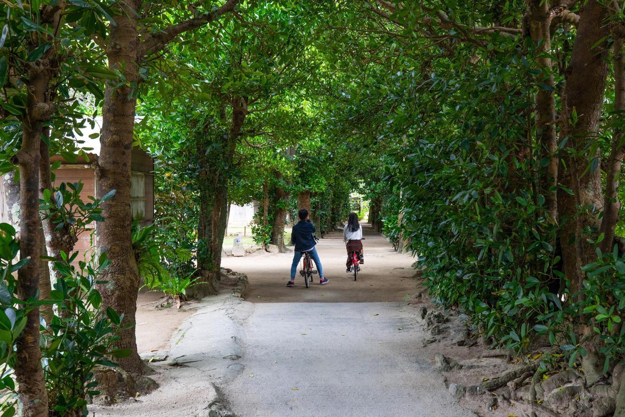 Cottage Muinochichi Motobu Εξωτερικό φωτογραφία